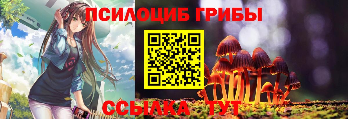 Зерноград  Галлюциногенные грибы Psilocybe  Вход с VPN  Псилоцибиновые грибы Psilocybe 
